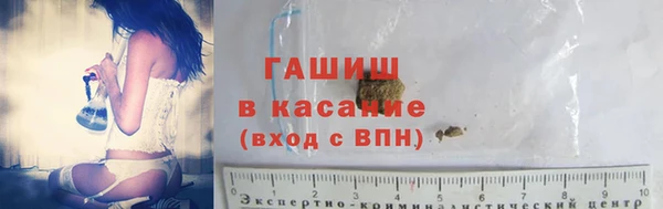 сатива Елизово