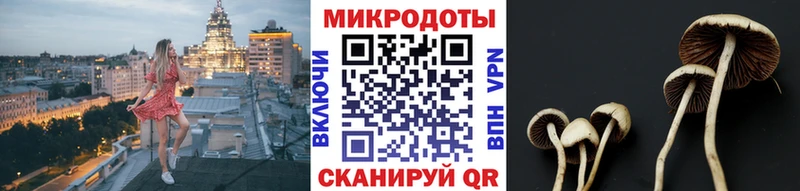 Галлюциногенные грибы Psilocybine cubensis  Нижневартовск 